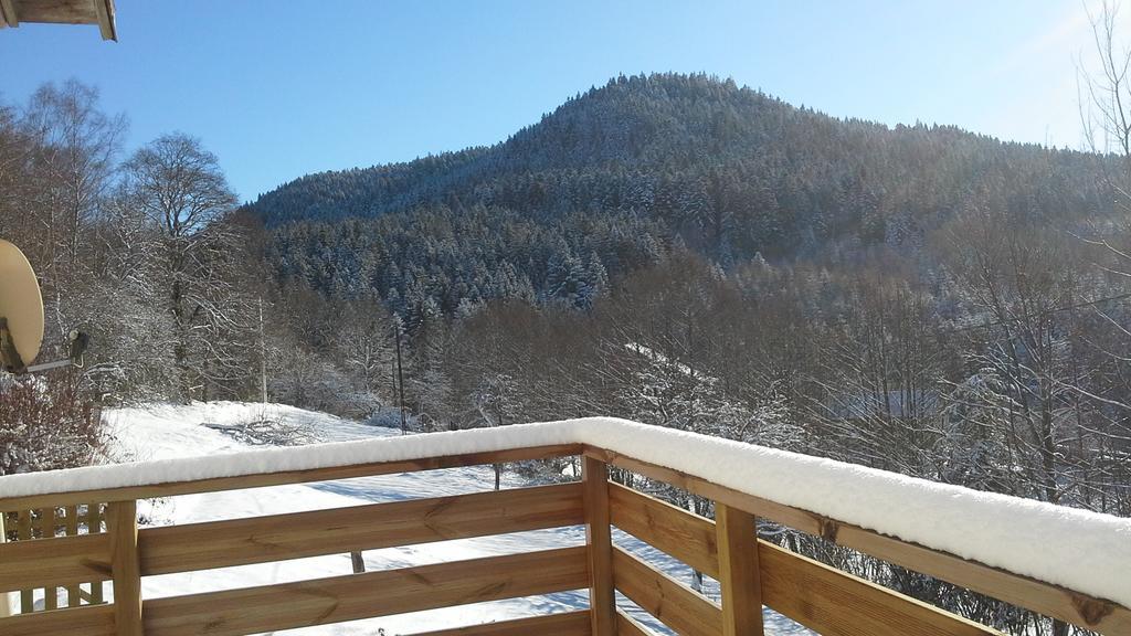 Gite Du Poirier Holiday home Le Tholy